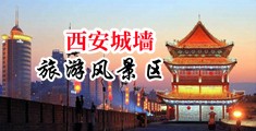 大粗鸡巴弄小粉逼视频中国陕西-西安城墙旅游风景区